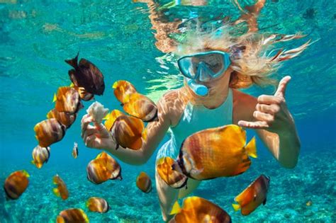 Unleash your inner explorer: Snorkeling in the enchanting island lagoon